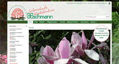 Desktop Screenshot of hachmann.de
