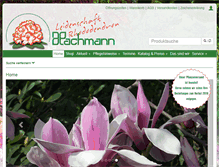 Tablet Screenshot of hachmann.de